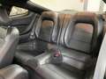 Ford Mustang Fastback V8 5.0 Bullitt - Garantie usine Grün - thumbnail 16