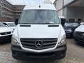 Mercedes-Benz Sprinter 313 CDi Kasten H+Lang Euro5 1.Hand+ Weiß - thumbnail 2