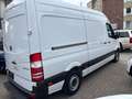 Mercedes-Benz Sprinter 313 CDi Kasten H+Lang Euro5 1.Hand+ Weiß - thumbnail 5