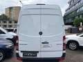 Mercedes-Benz Sprinter 313 CDi Kasten H+Lang Euro5 1.Hand+ Weiß - thumbnail 13