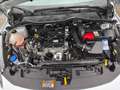 Ford Fiesta 1.1 S Klimaanlage/Sitzhg+Lenkrad+Frontscheibehzg Blanc - thumbnail 9