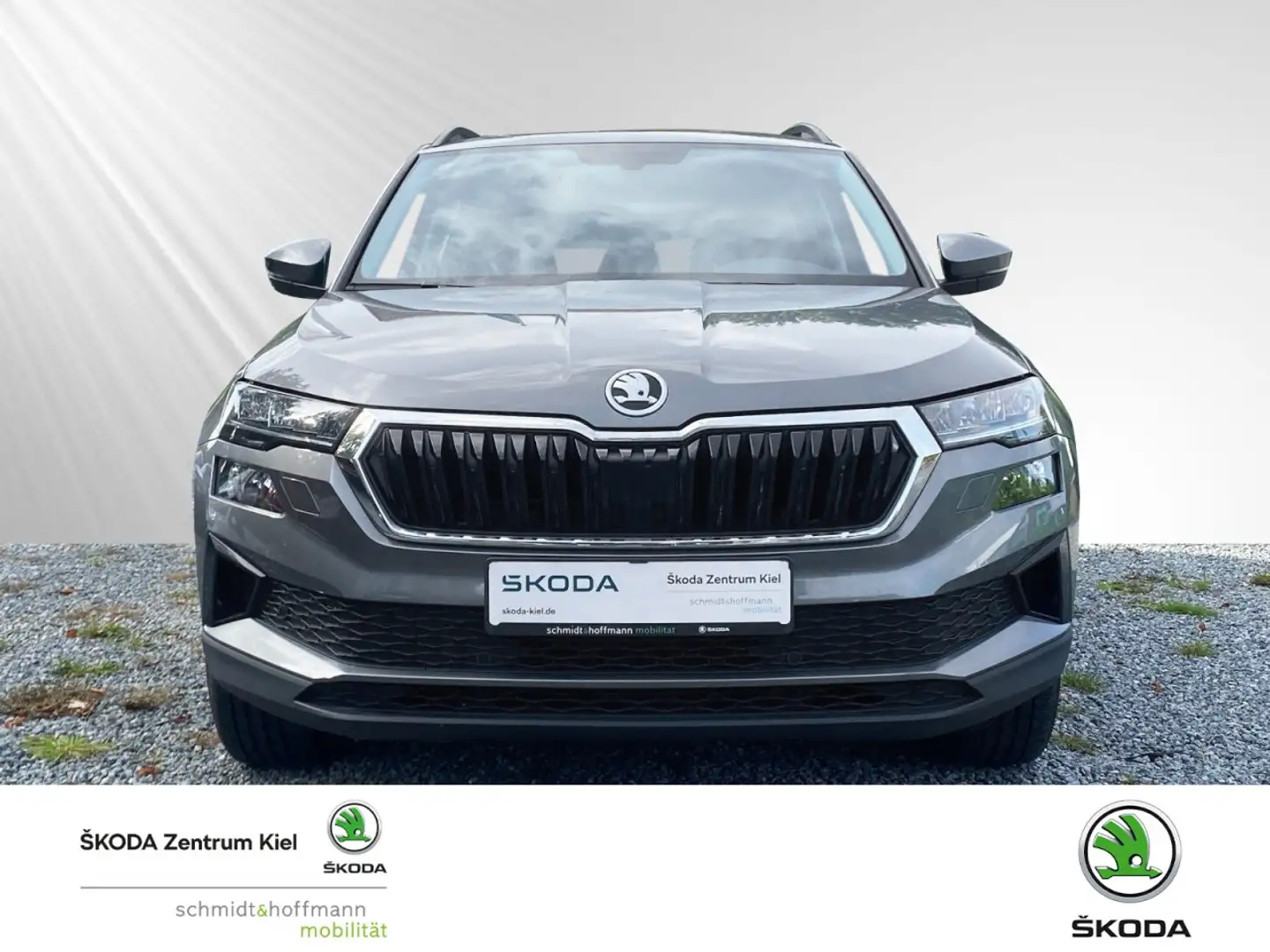 Skoda Karoq 2.0 TDI Ambition (EURO 6d) Klima Rückfahrkamera Grau - 2