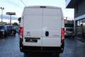 Citroen Jumper 35 L3H3 2.0 bluehdi 160cv Con Frigo MOTORE NUOVO - thumbnail 11