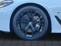 BMW 530 d M Sport SAG LiCPro DAB KAM DAPro GSD Hifi LED Білий - thumbnail 6