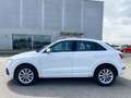 Audi Q3 Q3 2.0 tdi Business 120cv Bílá - thumbnail 3