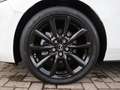 Mazda 3 M-Hybrid G-140 Homura *Sofort* NAVI ACAA SHZ HUD R Blanco - thumbnail 8