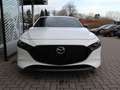 Mazda 3 M-Hybrid G-140 Homura *Sofort* NAVI ACAA SHZ HUD R Wit - thumbnail 7