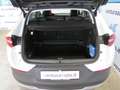 Opel Grandland X 1.6 CDTI 120 CV A/T ULTIMATE Blanc - thumbnail 14