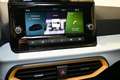 SEAT Ibiza Reference 1.0 TSI 95PS Grau - thumbnail 14