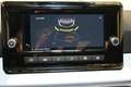 SEAT Ibiza Reference 1.0 TSI 95PS Grau - thumbnail 10