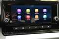 SEAT Ibiza Reference 1.0 TSI 95PS Grau - thumbnail 13