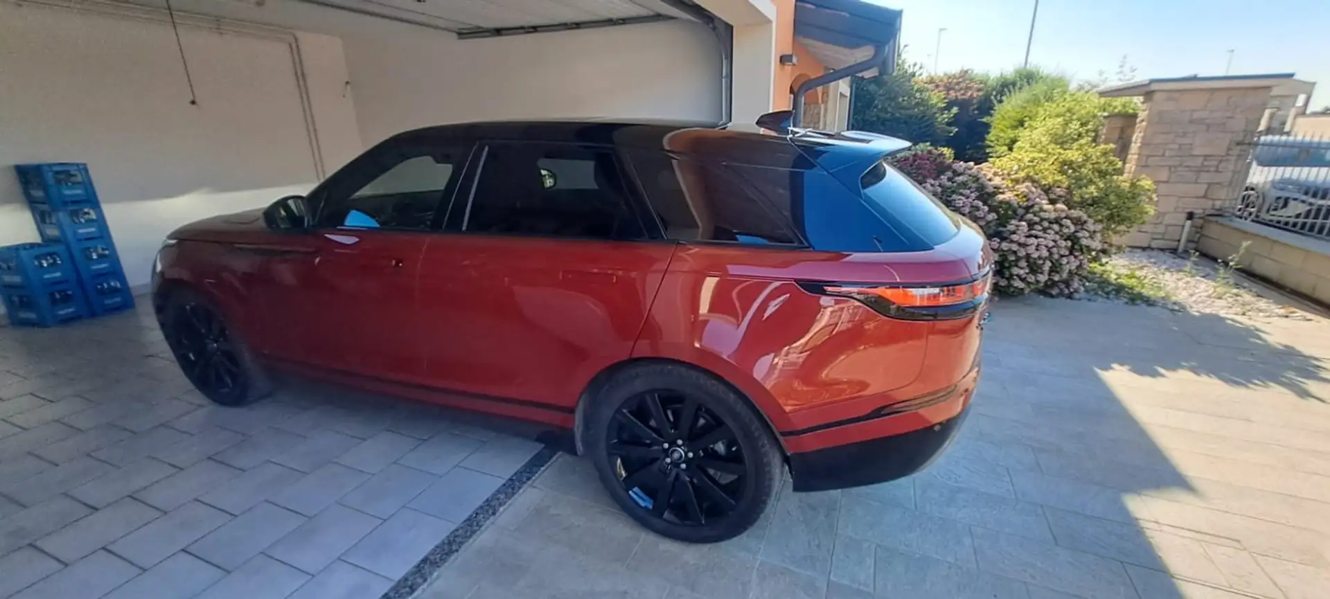 Rover Rover Red - 1