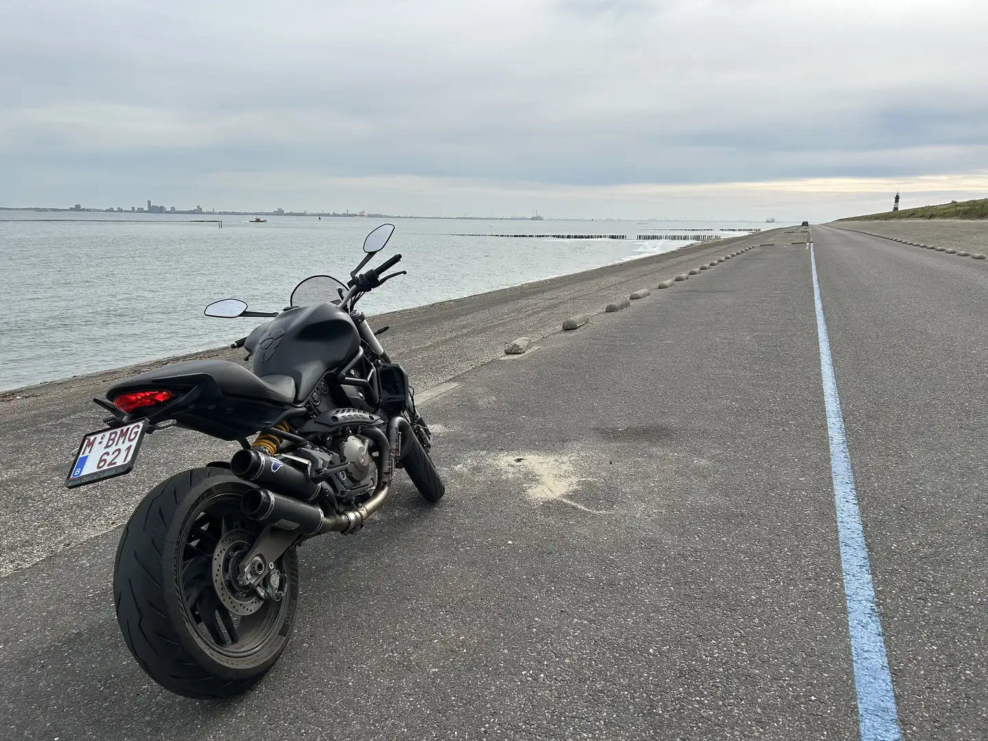 Ducati Monster 821 ducati monster 821 - 1