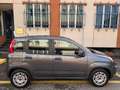 Fiat Panda 1.2 EasyPower Easy Grigio - thumbnail 5