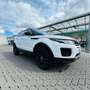 Land Rover Range Rover Evoque 2.0 TD4 2WD R-Dynamic Wit - thumbnail 4