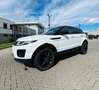Land Rover Range Rover Evoque 2.0 TD4 2WD R-Dynamic Wit - thumbnail 1