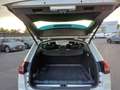 Citroen C5 2.0 HDi 160 aut. Executive Tourer GARANZIA Blanc - thumbnail 7
