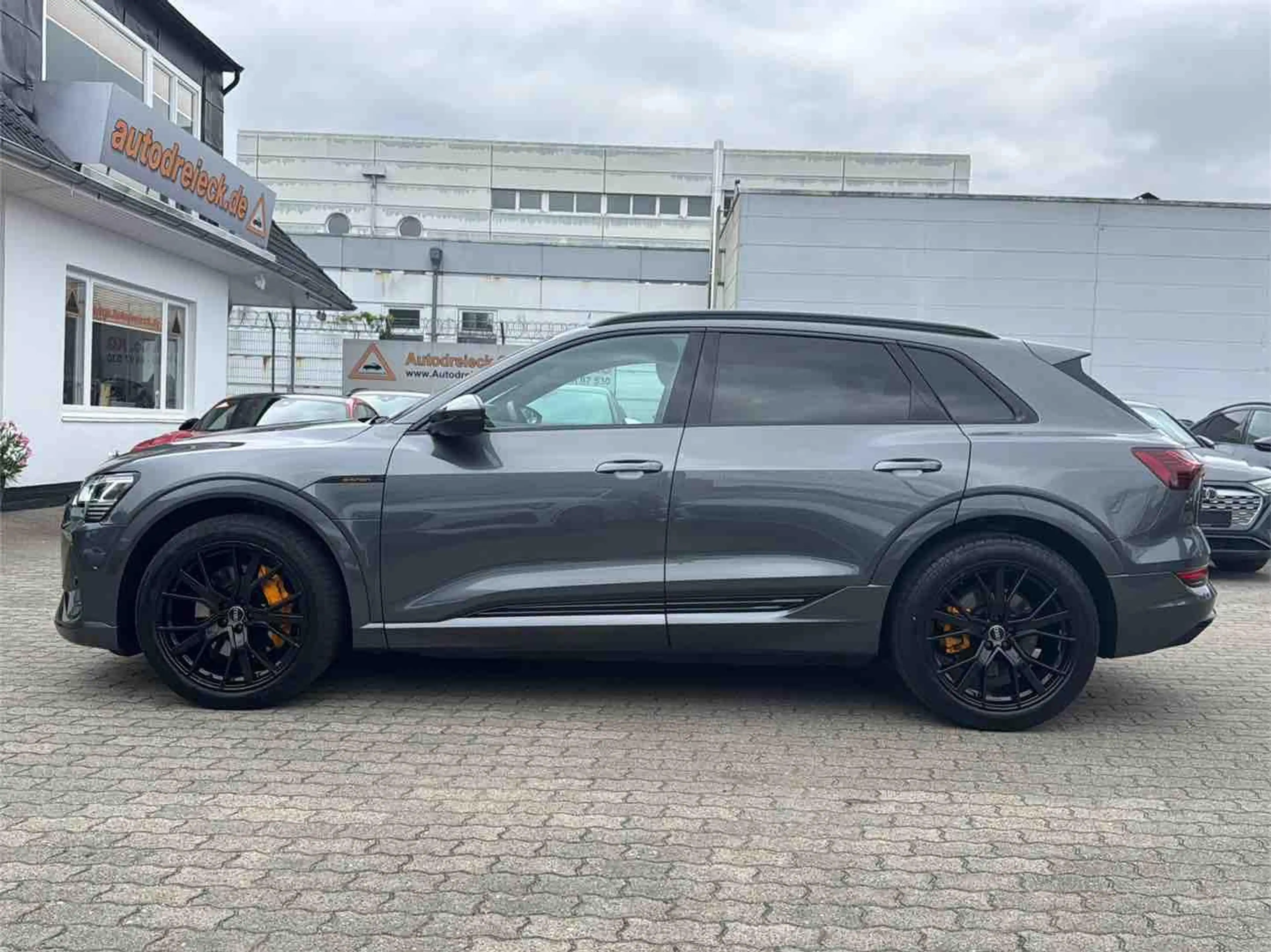 Audi e-tron 55 2x S line BLACK PANO MATRIX B&O 21Z — photo 11