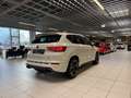 CUPRA Ateca VZ 4Drive Klima Navi Rückfahrkamera Sitzheizung Weiß - thumbnail 4
