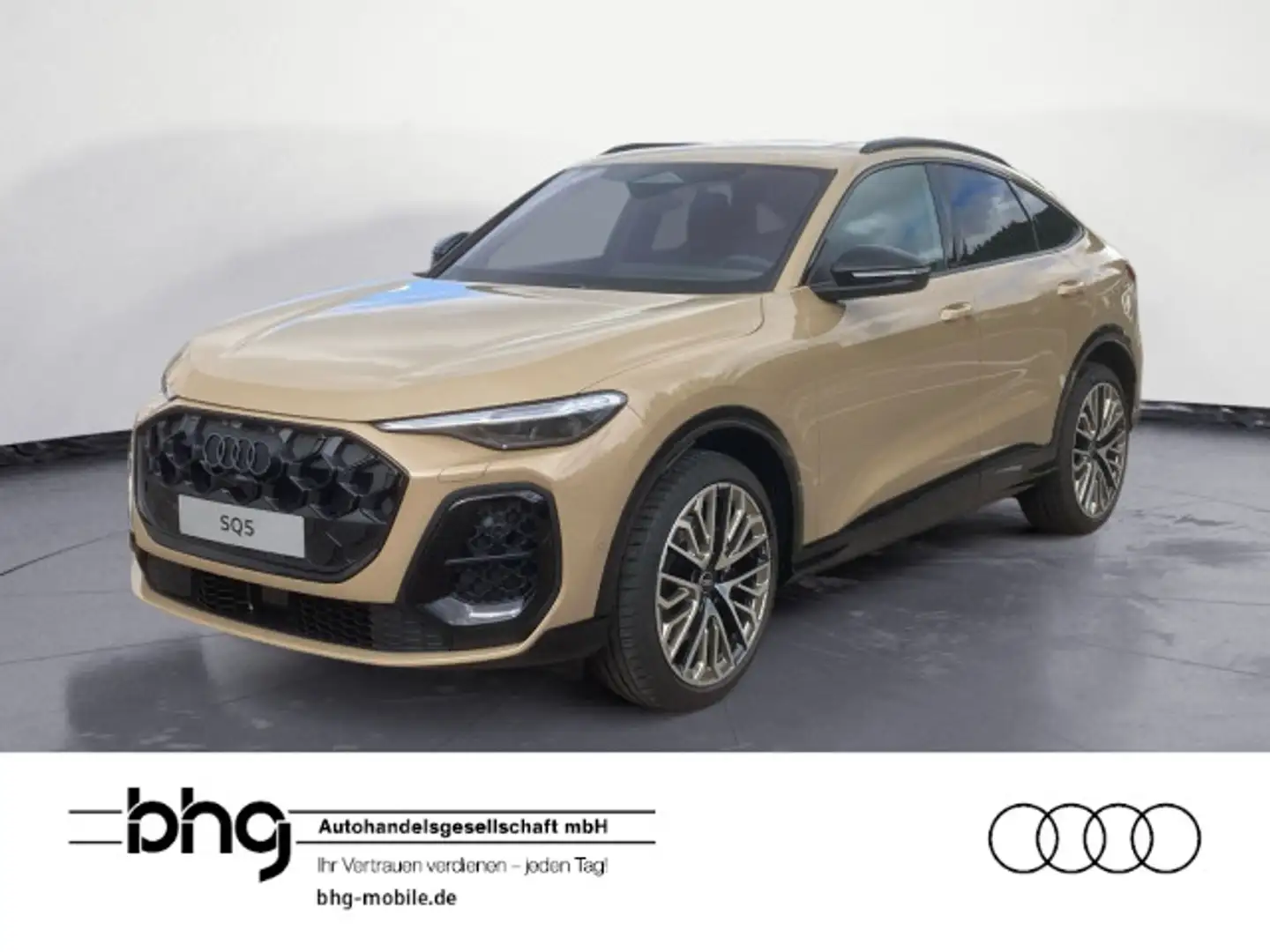 Audi SQ5 TFSI S tronic Gold - 1