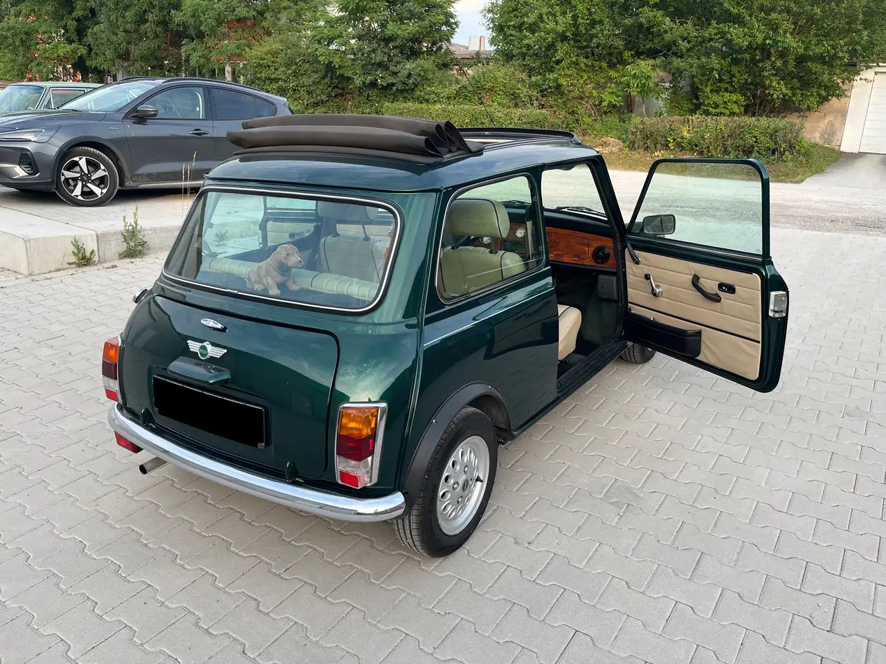 Rover Mini, foto 6