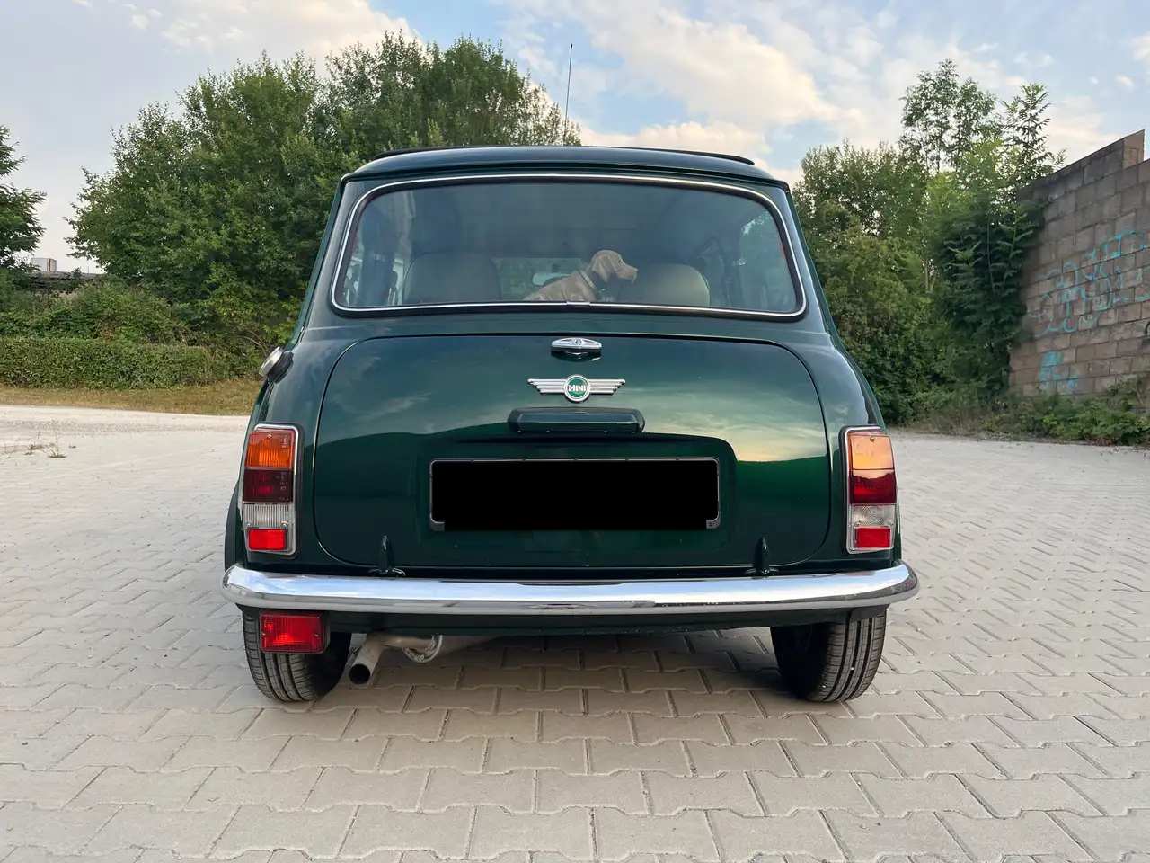 Rover Mini, foto 5