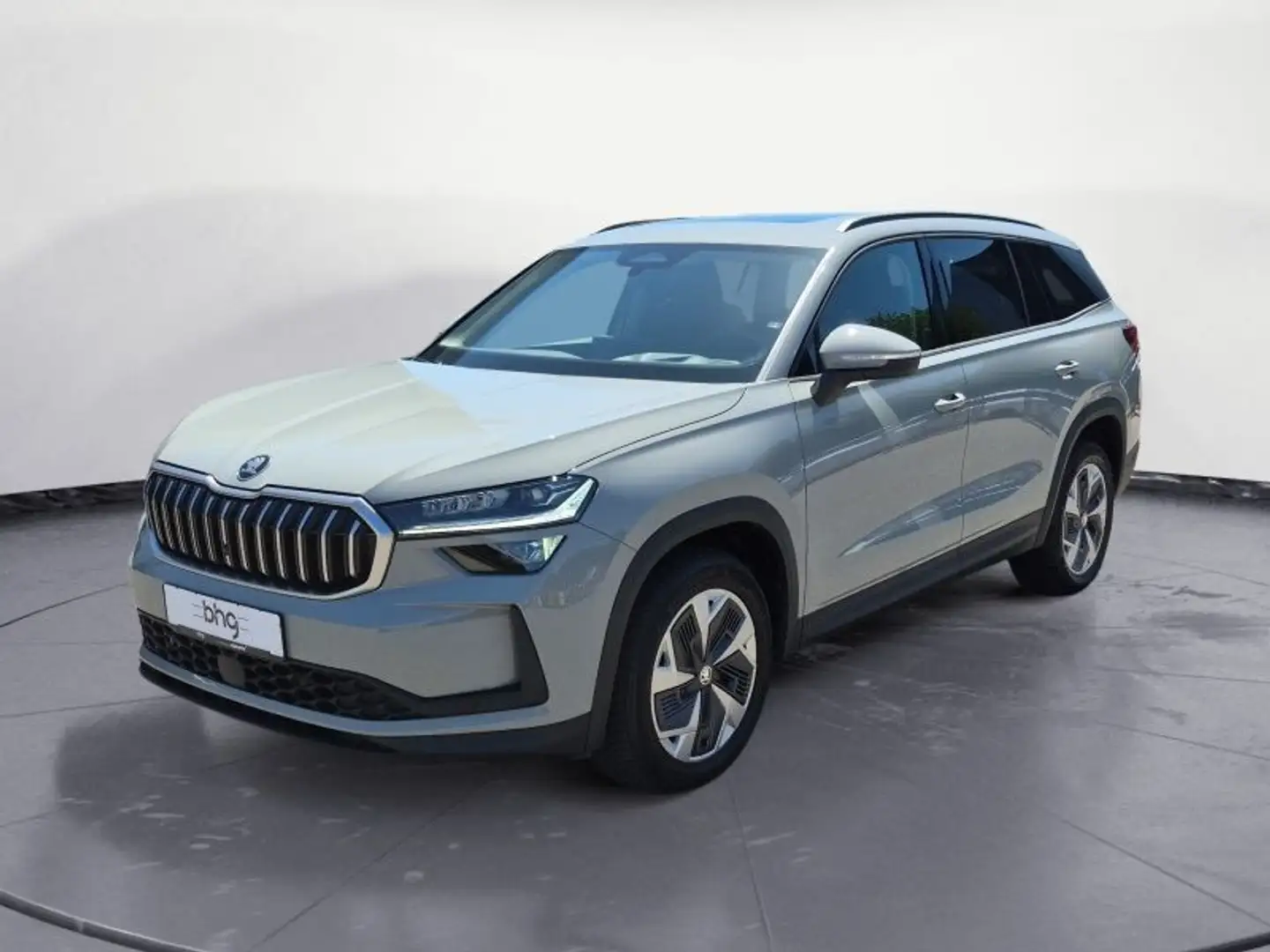 Skoda Kodiaq 2.0 TDI 4x4 DSG Selection Grau - 2
