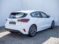 Ford Focus St Line 1.0L 125PS Allwetterbereifung Weiß - thumbnail 4