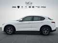 Alfa Romeo Stelvio Stelvio 2.2 TD 190 Cv. AT8 Q4 Business Plus Bianco - thumbnail 3