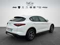 Alfa Romeo Stelvio Stelvio 2.2 TD 190 Cv. AT8 Q4 Business Plus Bianco - thumbnail 6