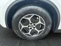 Alfa Romeo Stelvio Stelvio 2.2 TD 190 Cv. AT8 Q4 Business Plus Bianco - thumbnail 22