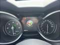 Alfa Romeo Stelvio Stelvio 2.2 TD 190 Cv. AT8 Q4 Business Plus Bianco - thumbnail 11