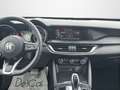 Alfa Romeo Stelvio Stelvio 2.2 TD 190 Cv. AT8 Q4 Business Plus Bianco - thumbnail 14