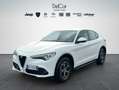 Alfa Romeo Stelvio Stelvio 2.2 TD 190 Cv. AT8 Q4 Business Plus Bianco - thumbnail 2