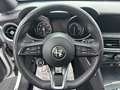 Alfa Romeo Stelvio Stelvio 2.2 TD 190 Cv. AT8 Q4 Business Plus Bianco - thumbnail 10