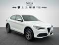 Alfa Romeo Stelvio Stelvio 2.2 TD 190 Cv. AT8 Q4 Business Plus Bianco - thumbnail 8