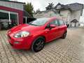 Fiat Punto Pop Tüv Au Neu 8 x Bereift in Top Zustand - thumbnail 9