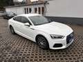 Audi A5 35 TDI , Keyless, Head-Up, Massage, StandH,B&O, SH Weiß - thumbnail 2