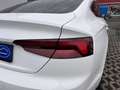 Audi A5 35 TDI , Keyless, Head-Up, Massage, StandH,B&O, SH Weiß - thumbnail 13
