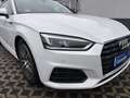 Audi A5 35 TDI , Keyless, Head-Up, Massage, StandH,B&O, SH Weiß - thumbnail 12