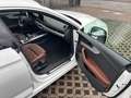 Audi A5 35 TDI , Keyless, Head-Up, Massage, StandH,B&O, SH Weiß - thumbnail 24