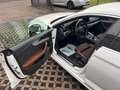 Audi A5 35 TDI , Keyless, Head-Up, Massage, StandH,B&O, SH Weiß - thumbnail 15