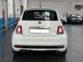 Fiat 500 1.0 hybrid Connect 70CV "13.500 senza vincoli" Bianco - thumbnail 8