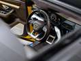 Lamborghini Urus MY20 Gelb - thumbnail 42