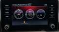 Skoda Karoq Scout 4x4 2.0 TDI*ACC*AHK*LED*VirtualCockp Grau - thumbnail 25