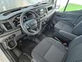 Ford Transit FT 350 Chasis Cabina 2.0 EcoBlue Heavy Dut Blanco - thumbnail 6