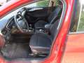 Ford Focus Cool Rot - thumbnail 9