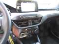 Ford Focus Cool Rot - thumbnail 14