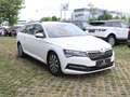 Skoda Superb 2.0TDI DSG Combi | NAVI | 1.BESITZER | LED | Weiß - thumbnail 4