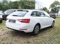 Skoda Superb 2.0TDI DSG Combi | NAVI | 1.BESITZER | LED | Weiß - thumbnail 5